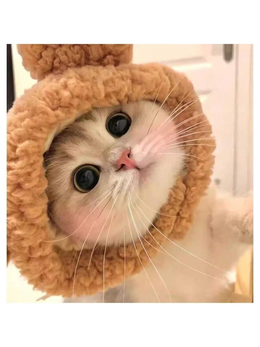 Pet Clothes