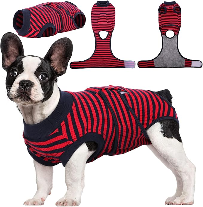 Pet Recovery Supplies