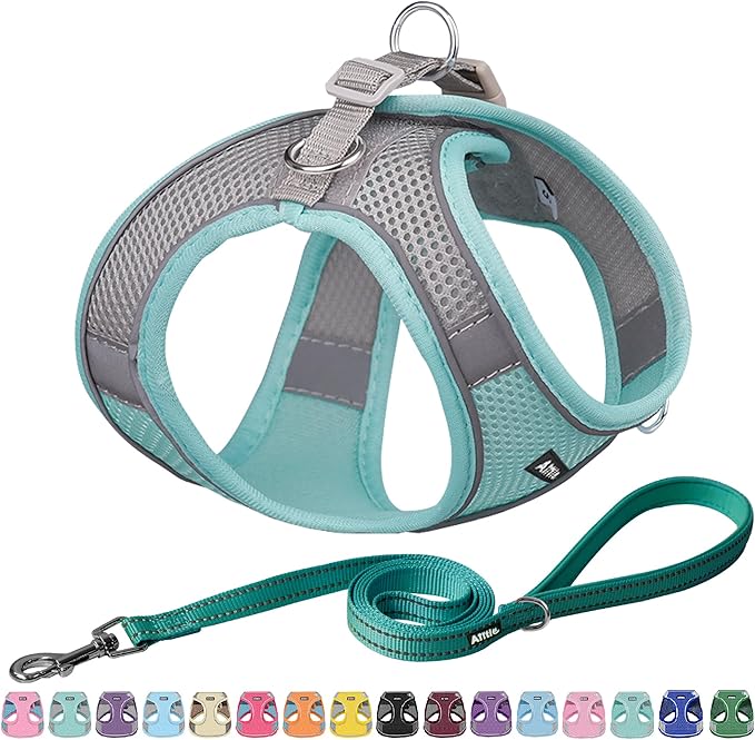 Dog Harness
