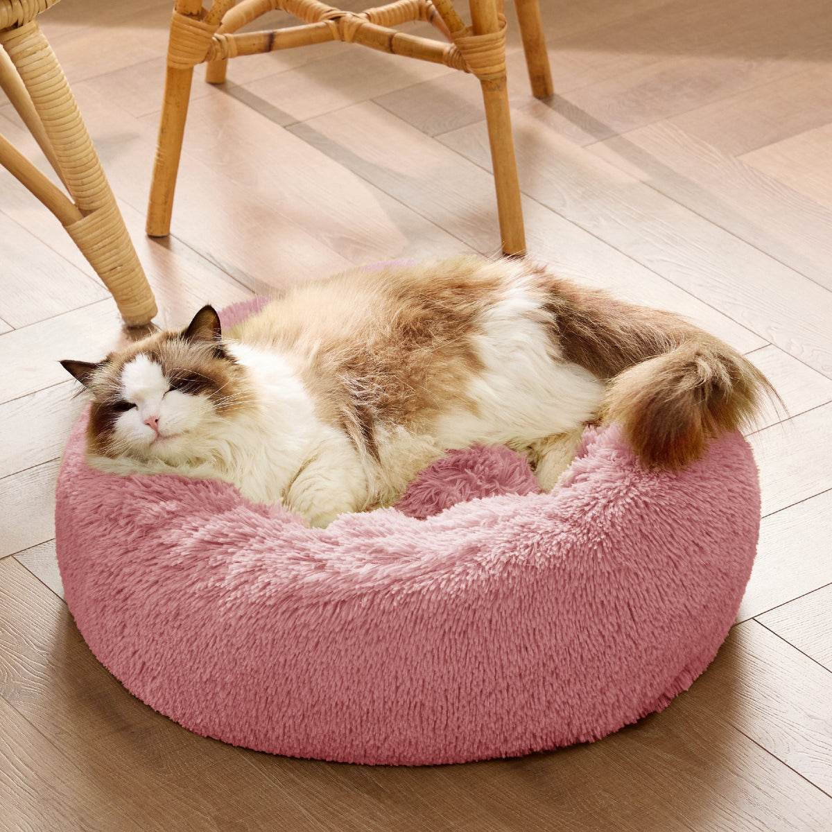 Pet Bed