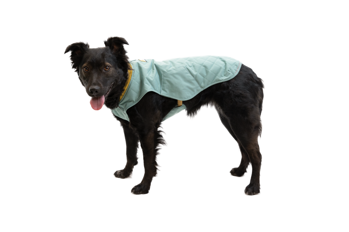 Stumptown™ Insulated Vest