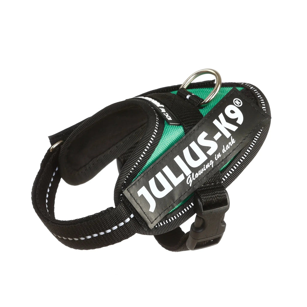 Julius-K9® IDC® Powerharness