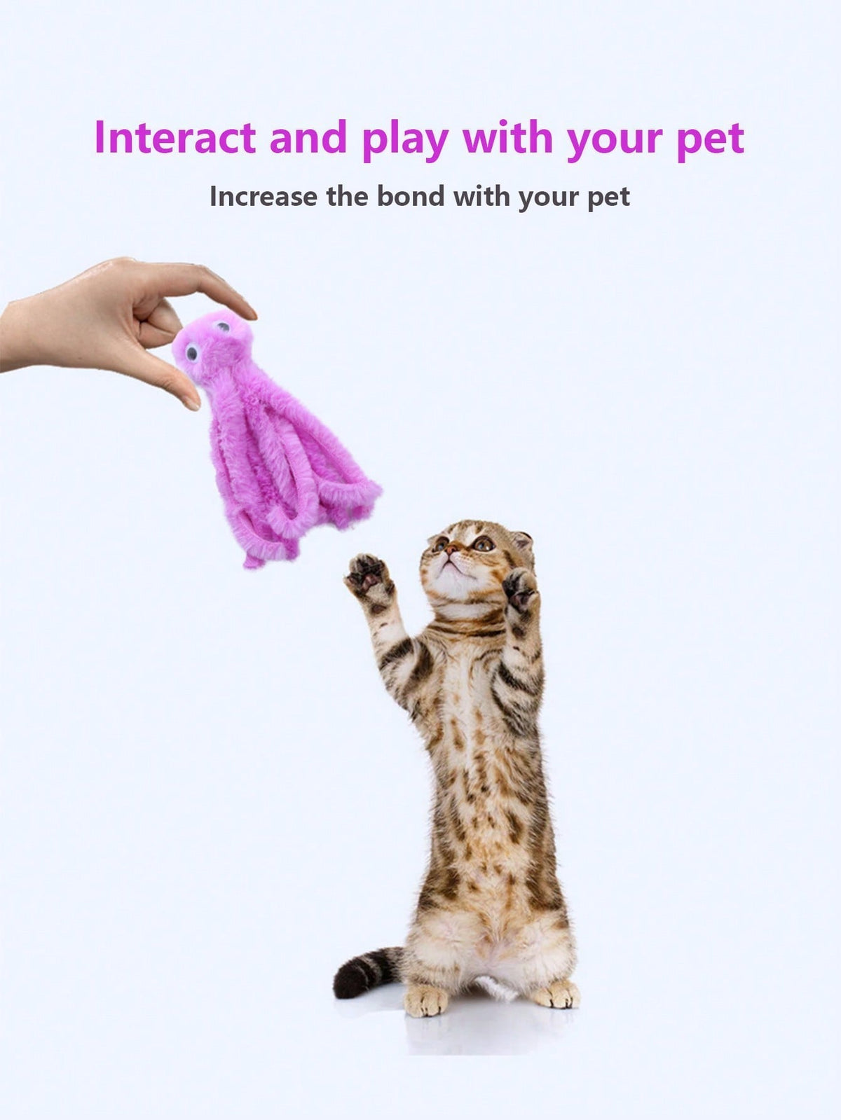 Cat Toys, Octopus Cat Stick Set, Three Section Cat Stick Assembly, Cat Rod, Cat Toys, Kitten Kitten, Kitten, Grind Teeth, Cat Toys, Biting Cat Toys, Playing Interactive Toys