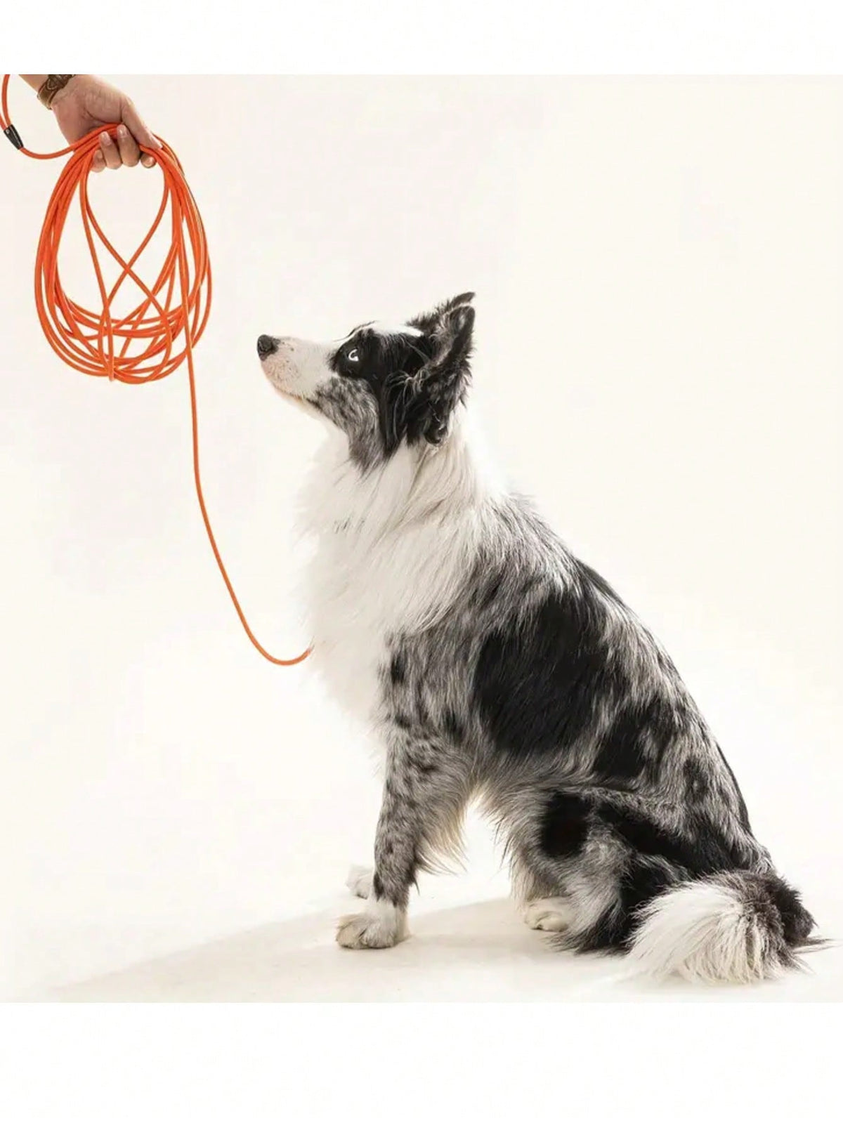 Long Leash Waterproof Training,Heavy Duty Recall Long Lead,Durable Outdoor Dog Leash 5FT 10FT 20FT 30FT Great For Training,Beach,Tie Out,Yard,Play,Camping