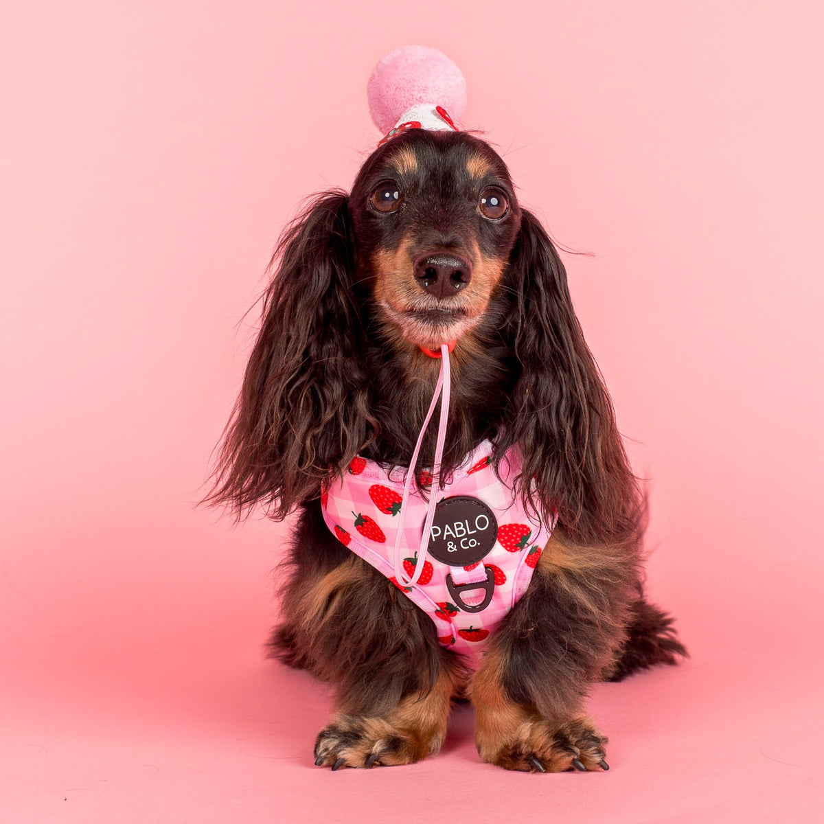 Strawberry Fields: Adjustable Harness