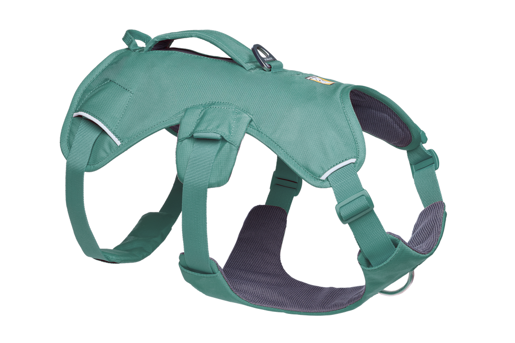 Web Master™ Dog Harness with Handle