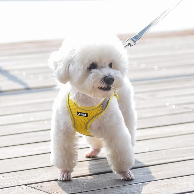AIITLE Escape Proof Dog Harness