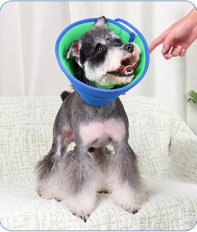 Soft Dog Cone Collar Alternative, Adjustable E-Collar for Surgery Recovery & Wound Protection. Comfy Elizabethan Cone for All Pets. (Blue, XXL(Fit 49-100 lb Dog))