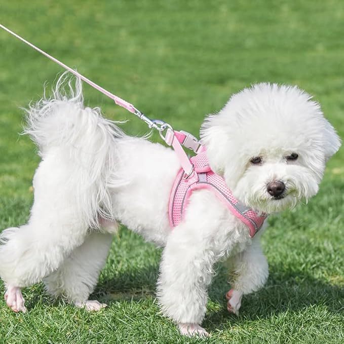AIITLE Escape Proof Dog Harness