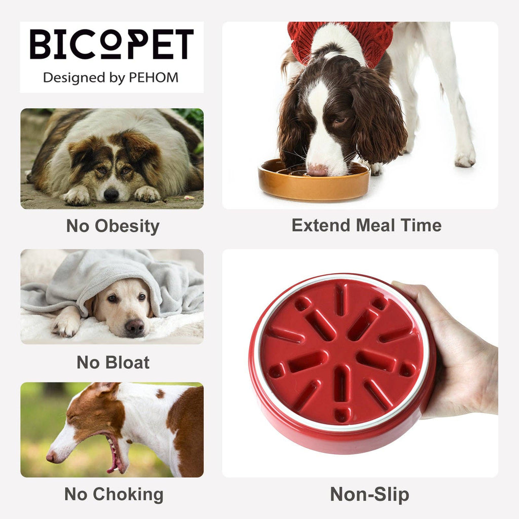 Ceramic Slow Feeder Bowls
