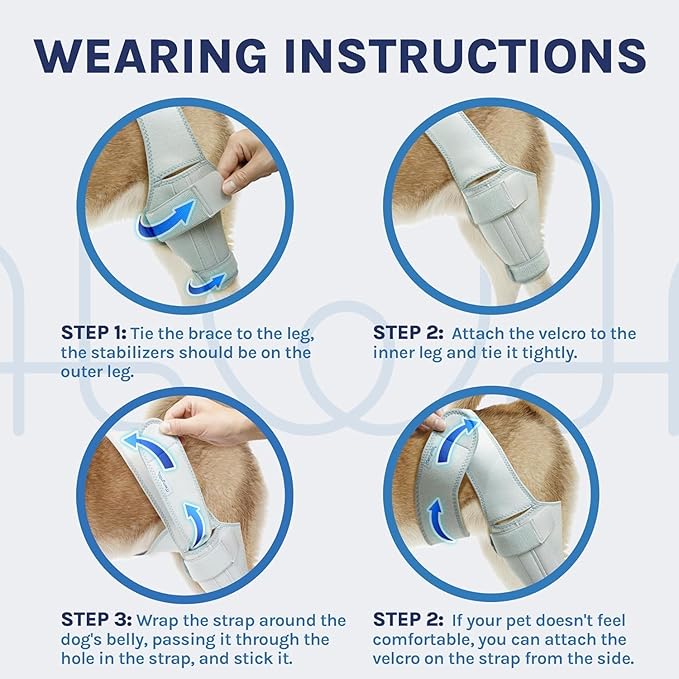 Dog Knee Brace for Torn ACL, Rear Leg Support for Joint Pain Relief and Ligament Injuries, Silver, XL