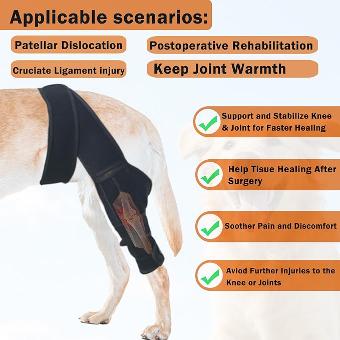 Dog Knee Brace for Leg, Adjustable Dog Braces for Torn ACL Support, Built in Side Stabilizers, Breathable Dogs Hip Brace for Arthritis Relief, Joint Stability and Post Surgery Recovery