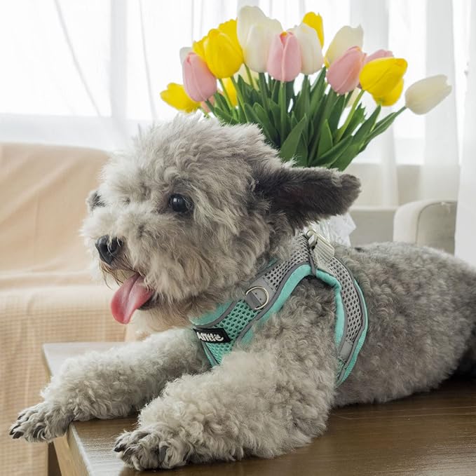 AIITLE Escape Proof Dog Harness
