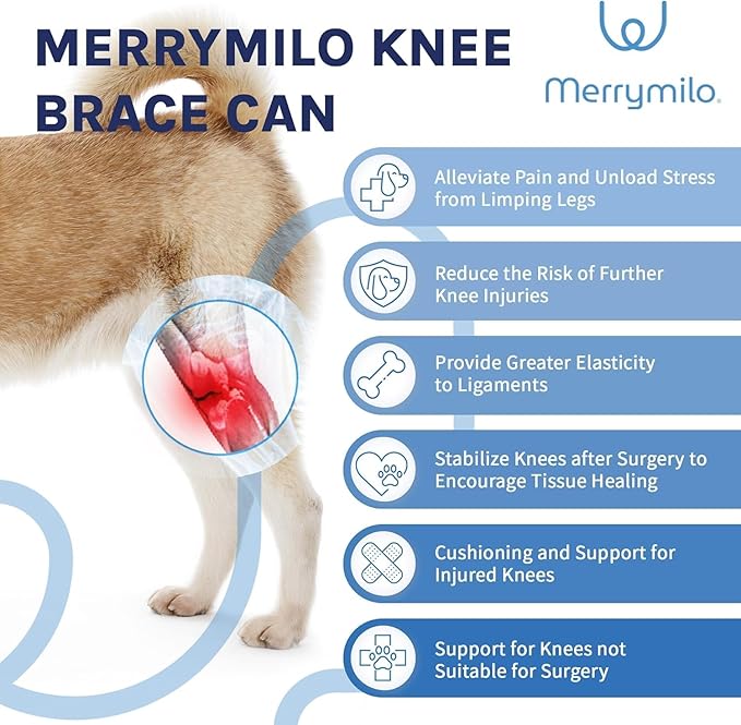Dog Knee Brace for Torn ACL, Rear Leg Support for Joint Pain Relief and Ligament Injuries, Silver, XL