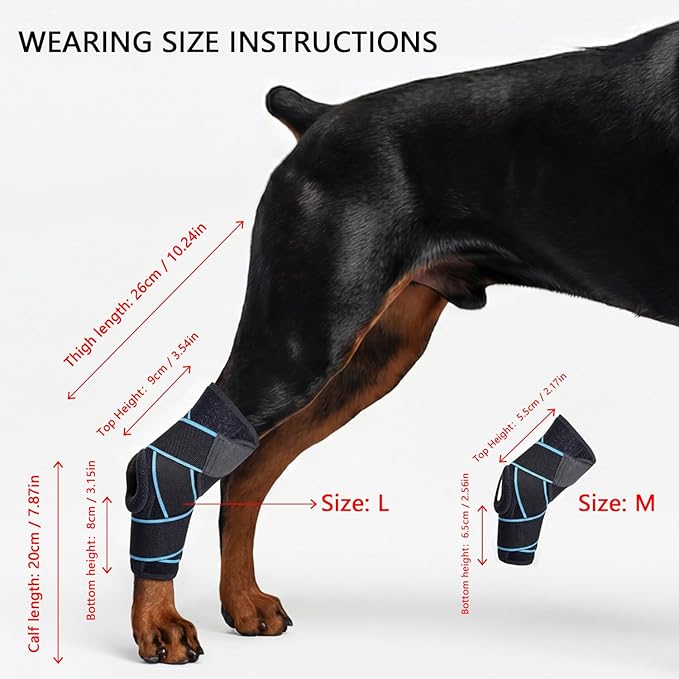 Dog Knee Brace for Back Leg, ACL Support for Large Dogs, Adjustable Dog Leg Brace for Hind Leg Injuries, Canine Joint Wrap for Arthritis Recovery (L)