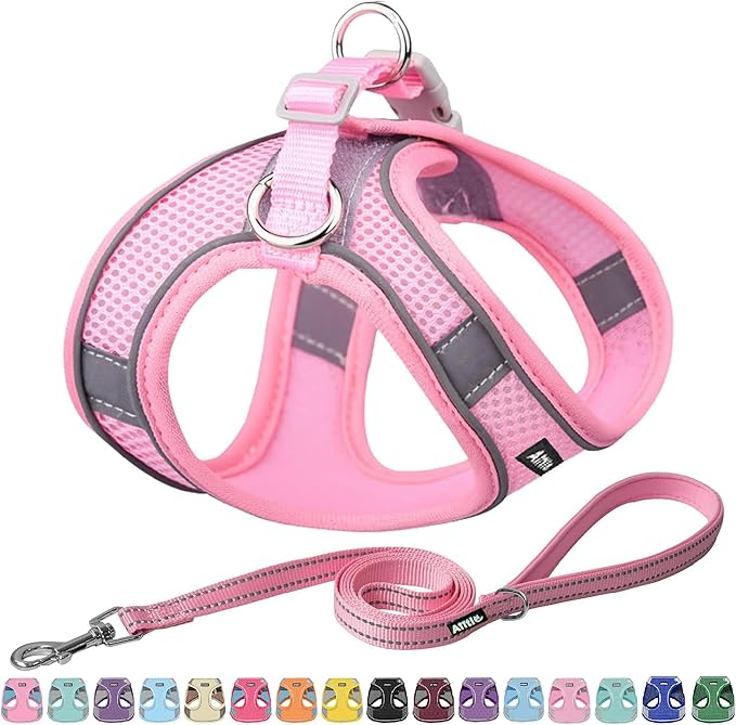 AIITLE Escape Proof Dog Harness