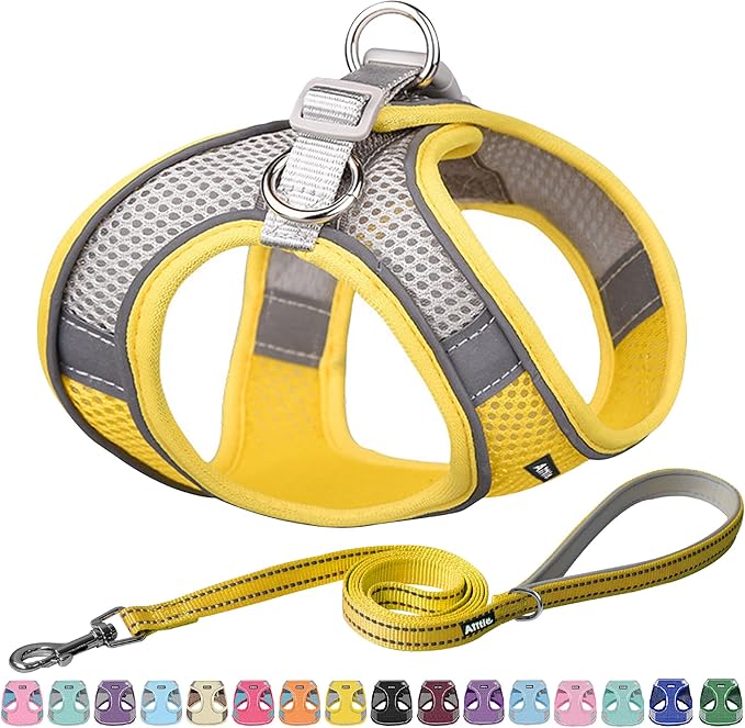 AIITLE Escape Proof Dog Harness