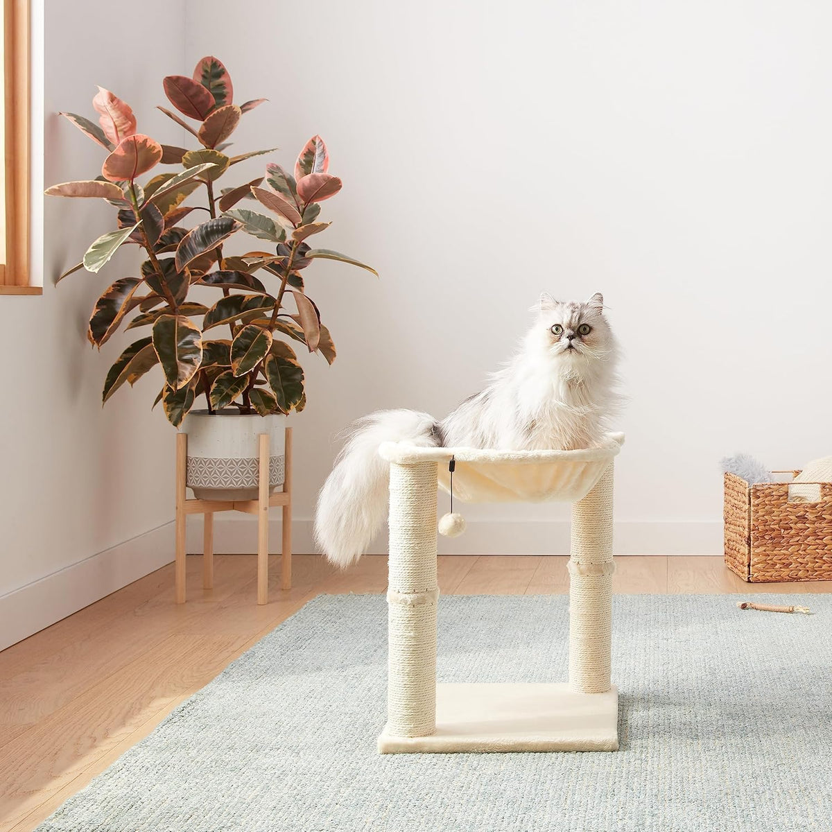 Amazon Basics Cat Condo Tower with Hammock Bed and Scratching Post,Easy to Assemble,Plush Hammock,Interactive Hanging Ball,Durable Sisal Scratch Posts for Indoor Cats, 15.8 x 15.8 x 19.7 Inches, Beige