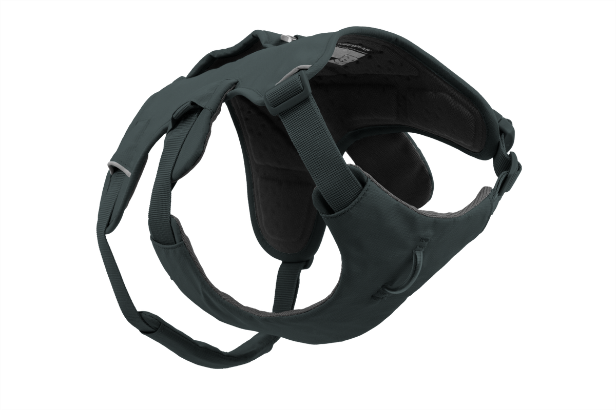 Web Master™ Dog Harness with Handle
