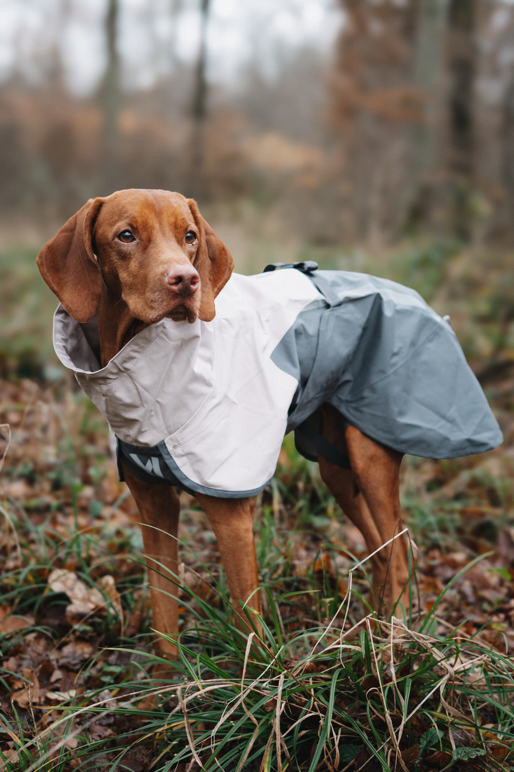 Fjord raincoat 2.0