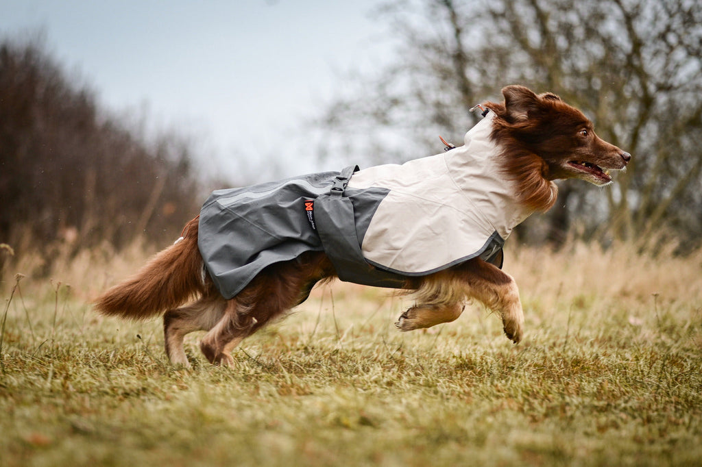 Fjord raincoat 2.0