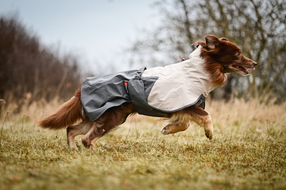 Fjord raincoat 2.0