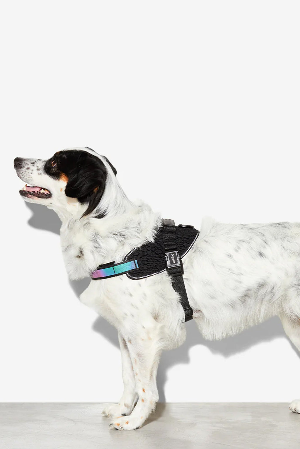 Zee.Dog Gotham Dog Fly Harness