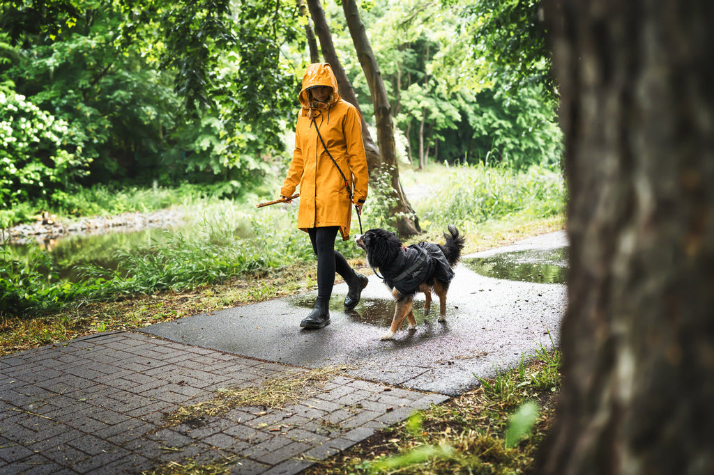Trekking dog raincoat