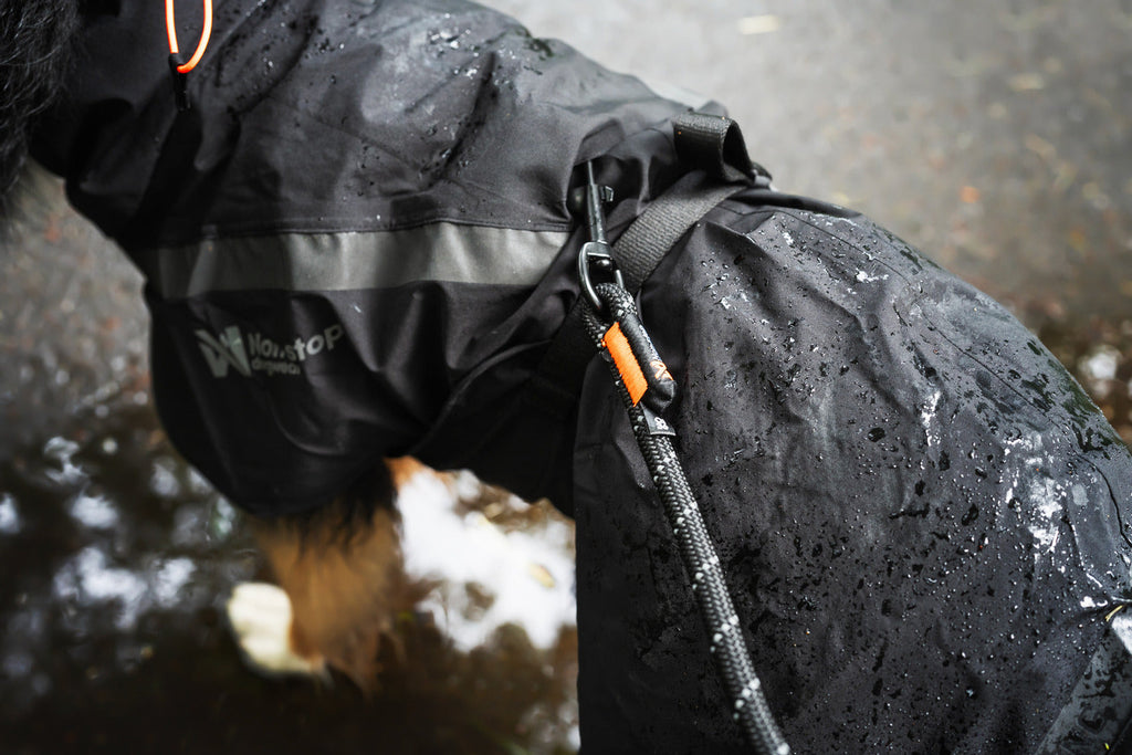 Trekking dog raincoat