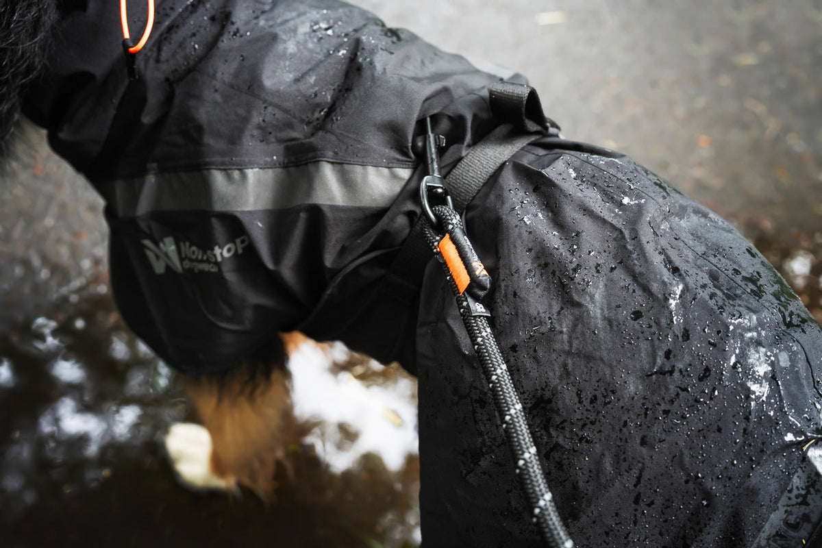 Trekking dog raincoat