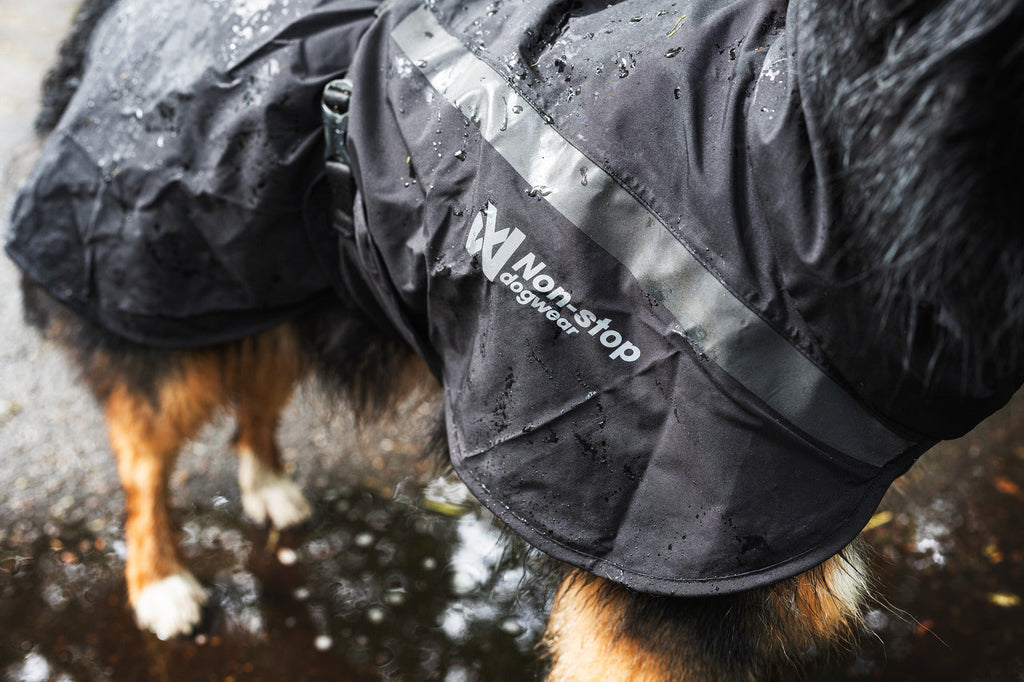 Trekking dog raincoat