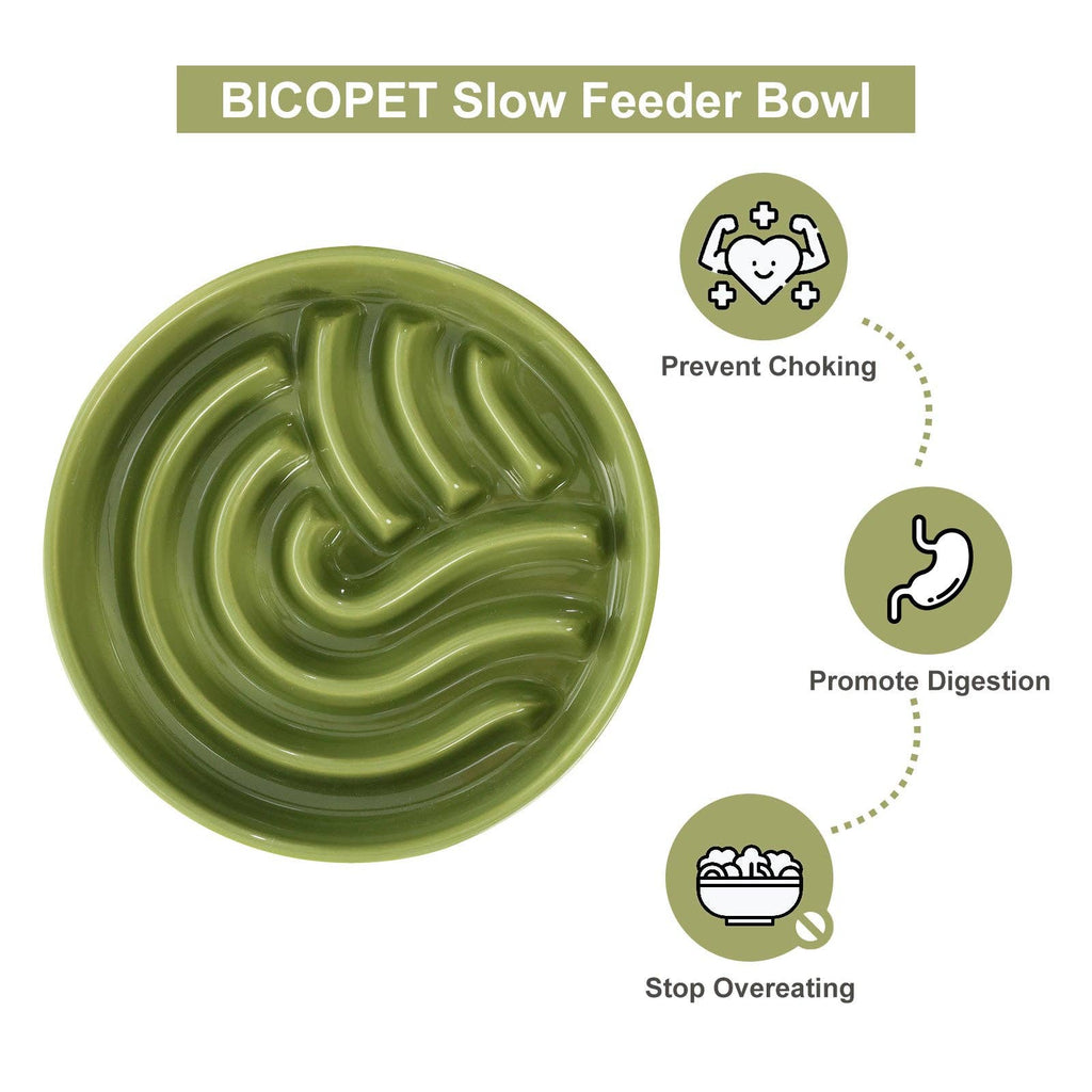 Ceramic Slow Feeder Bowls