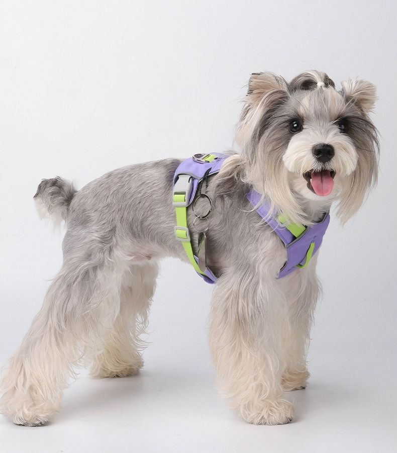 Cloud-Lite™ Dog Harness