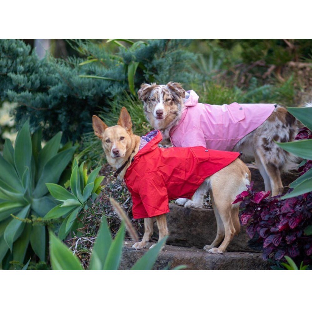 Dog Raincoat - Red
