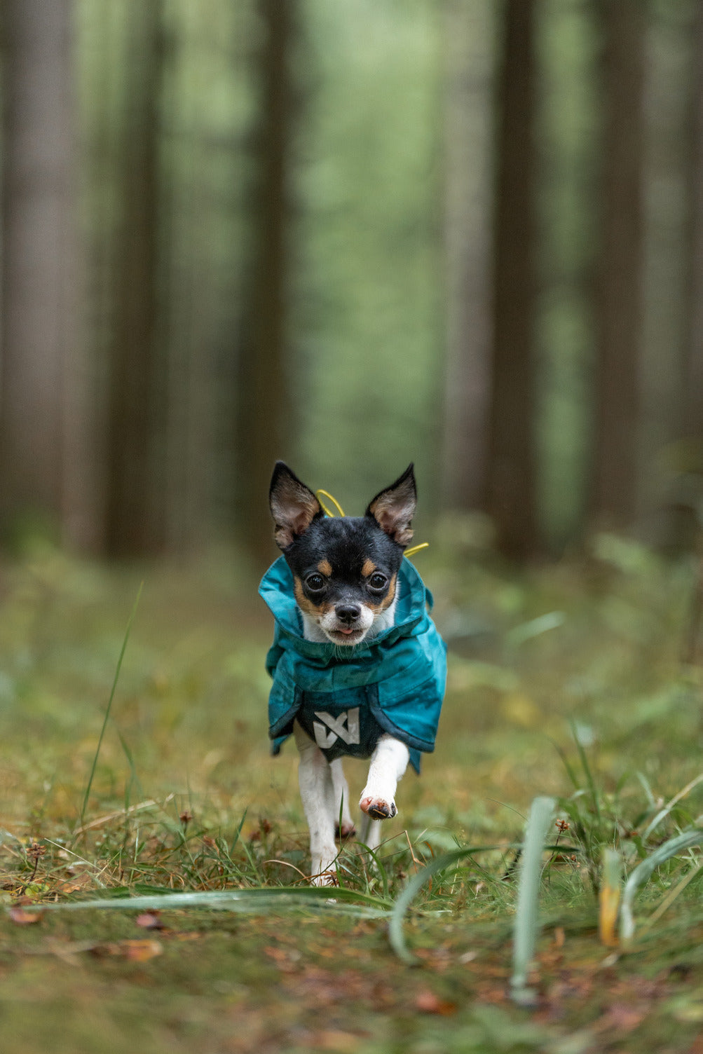 Fjord raincoat 2.0