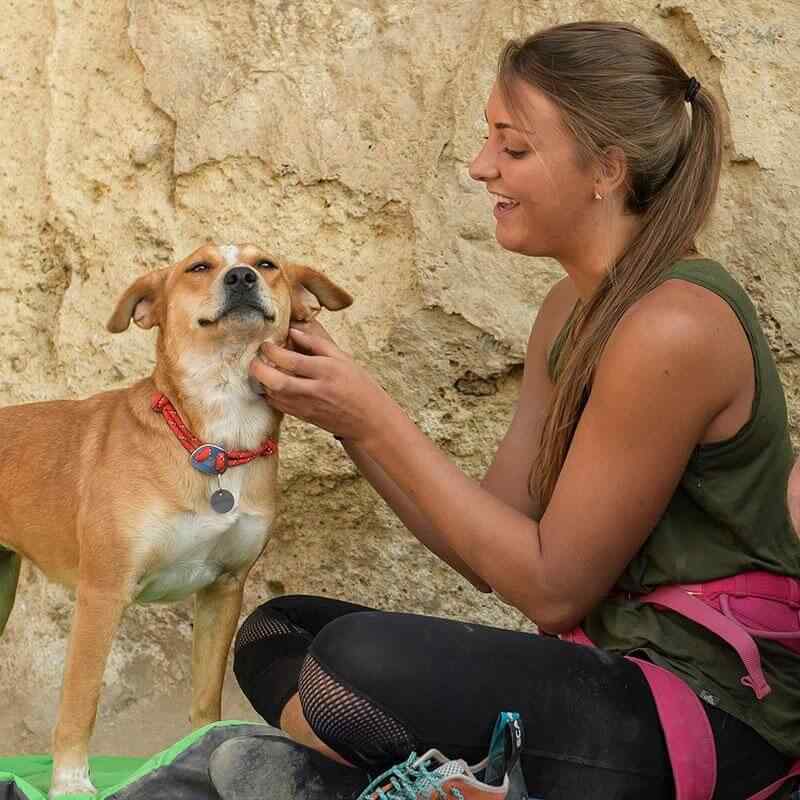 Knot-a-Collar™ Rope Dog Collar by Ruffwear